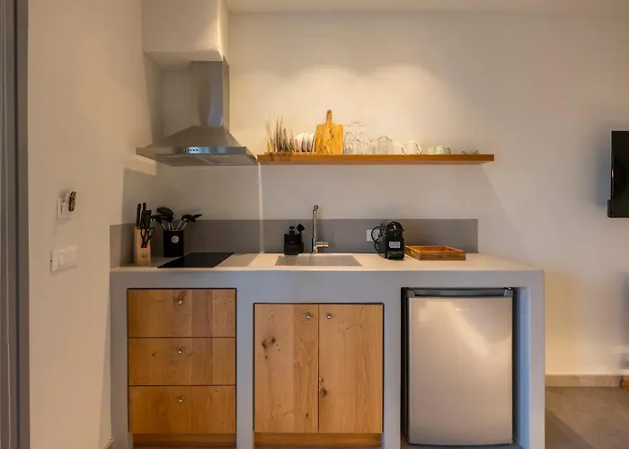 Apartahotel Paranthos Island Living Chrisi Akti (Paros)